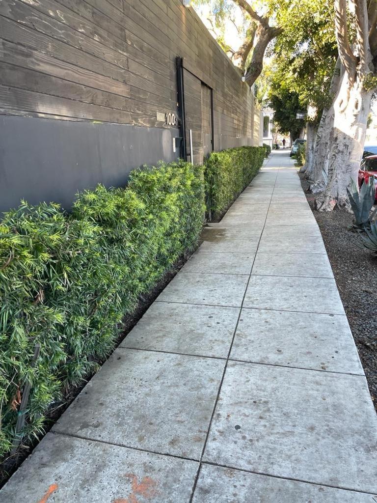 Venice Beach Studio With Large Private Patio Steps To The Beach ลอสแอนเจลิส ภายนอก รูปภาพ